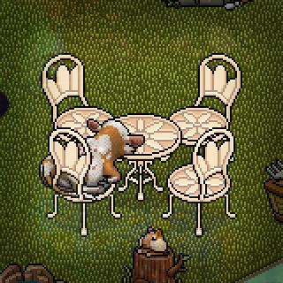 Photo by Pippuri97.