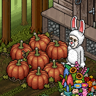 Photo by Sere
