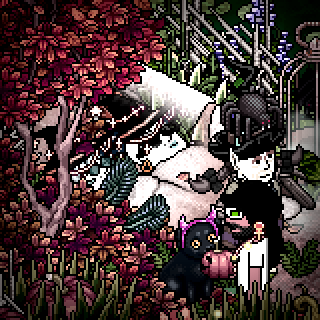 Photo by Dukkis!