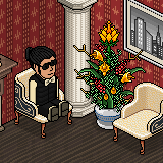 Photo by habbo-pokaali