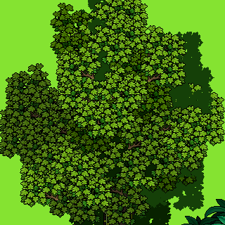 Photo by hullusami54