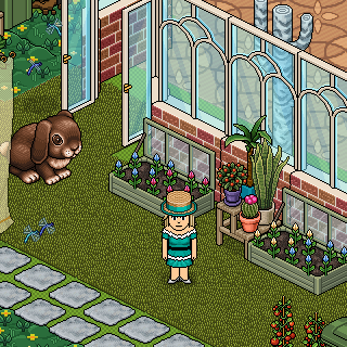 Photo by Kiva-habbo.jr