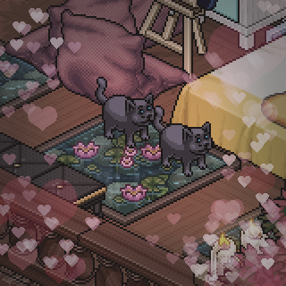 Photo by kisuli002