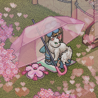 Photo by kisuli002