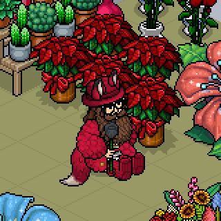 Photo by Kahviketty