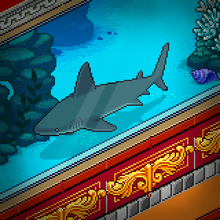Photo by Shark