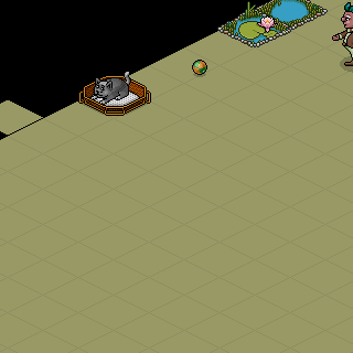 Photo by Kr0