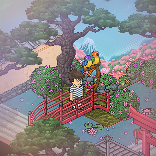 Photo by Quetiap!ne