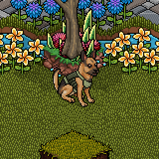 Photo by Twangy