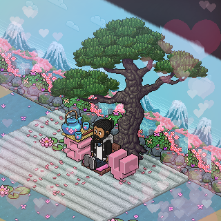 Photo by @HabboFrance