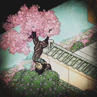 Photo by ,Kisso