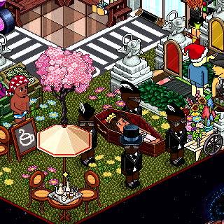 Photo by alanis12
