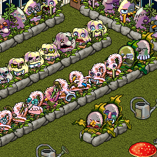 Photo by hippolyte2000