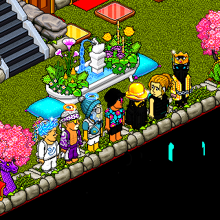 Photo by @habbo.fr.