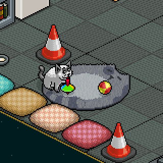 Photo by Hanunu