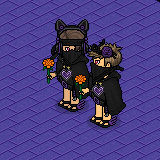 Photo by Ashaaable