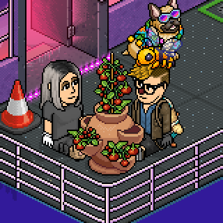 Photo by HabboSauvage