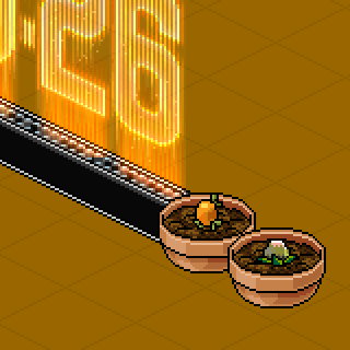 Photo by DJ-L0L