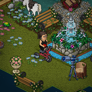 Photo by Christina