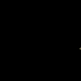 Photo by Ottone