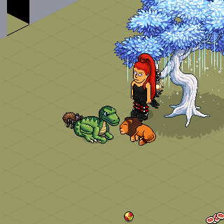 Photo by Gnomica