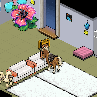 Photo by habbo,...