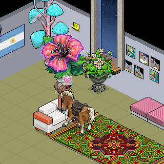 Photo by habbo,...