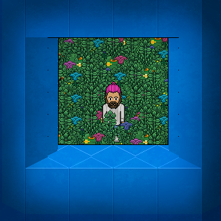 Photo by alessandro-habbo