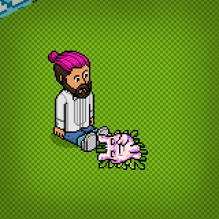Photo by alessandro-habbo