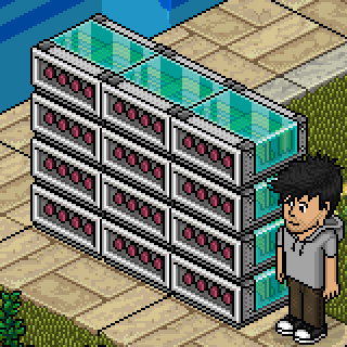 Photo by HabboLife