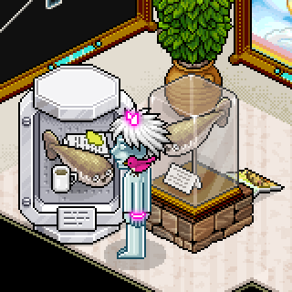 Photo by G101