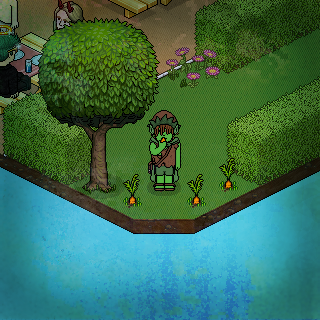 Photo by :luca:zoro