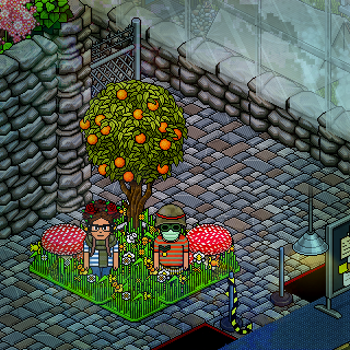Photo by DeejayGiova