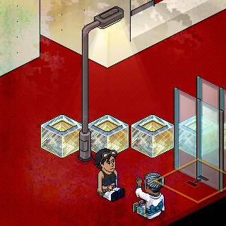 Photo by alekun