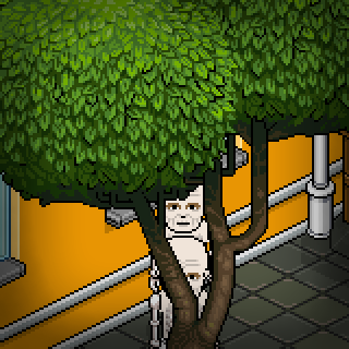 Photo by Pixel