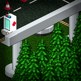 Photo by ElisaHabbo