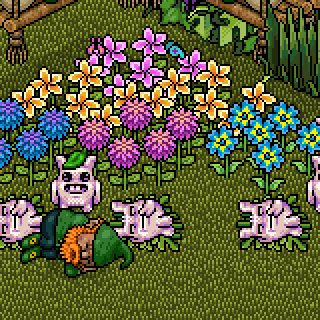 Photo by ElisaHabbo
