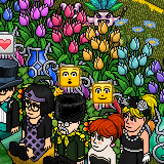 Photo by ElisaHabbo