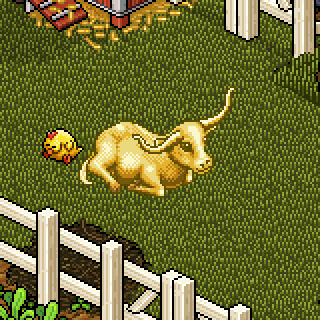 Photo by ElisaHabbo