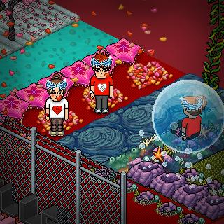 Photo by ElisaHabbo