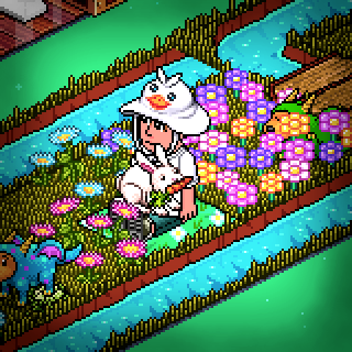 Photo by ElisaHabbo