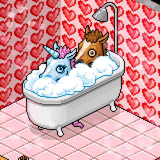 Photo by Unicorns