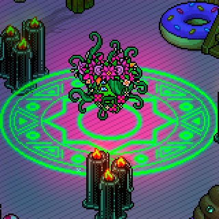 Photo by Unicorns