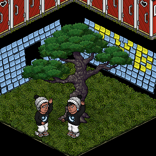 Photo by nico1997@