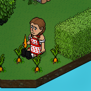 Photo by M.Chiara:3