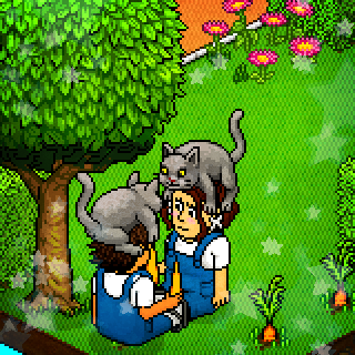 Photo by M.Chiara:3
