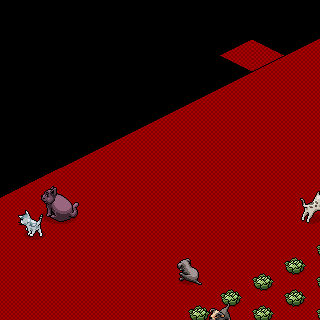 Photo by 22:49