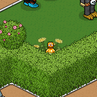 Photo by .mandala