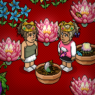 Photo by habbo.nikki