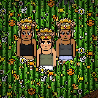 Photo by habbo.nikki